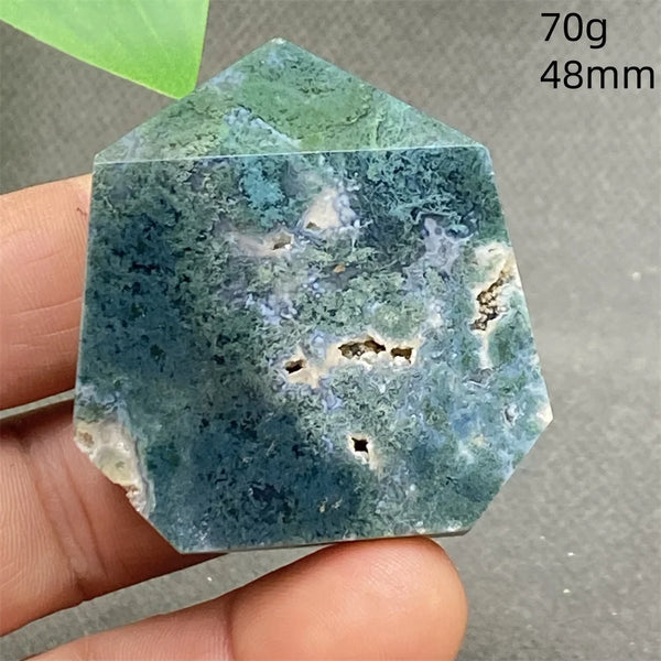 Green Water Plant Agate-ToShay.org