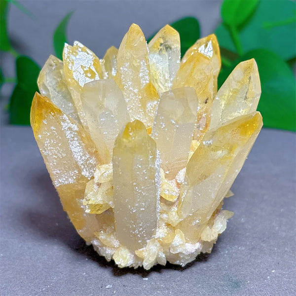 Yellow Citrine Crystal Cluster-ToShay.org