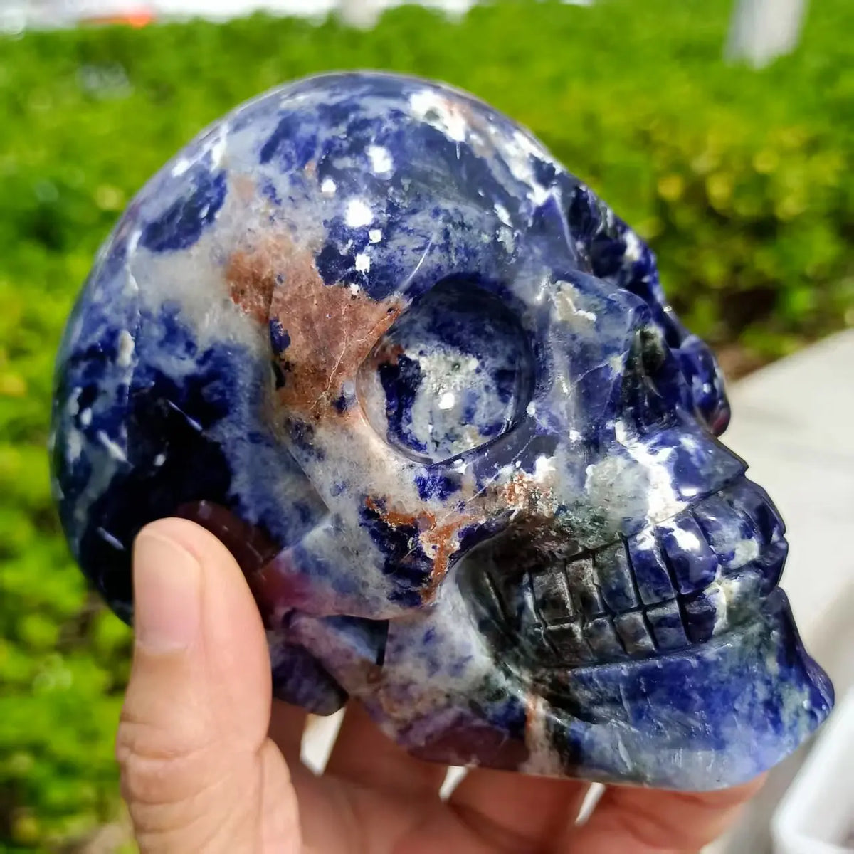 Blue Sodalite Skull-ToShay.org