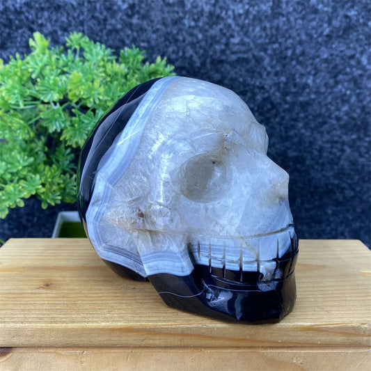 Black Agate Skull-ToShay.org