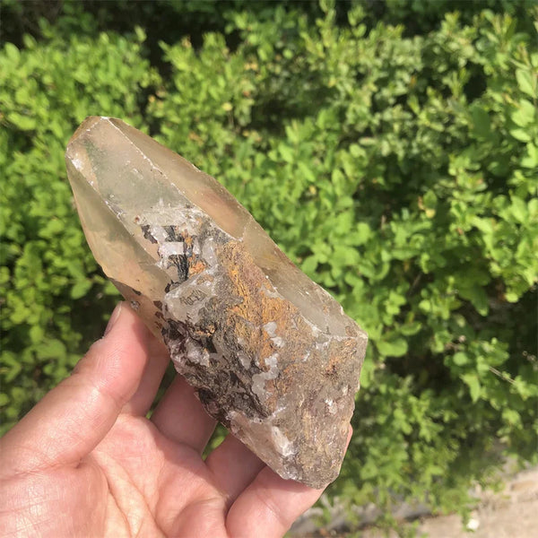 Clear Smoky Lemurian Seed-ToShay.org