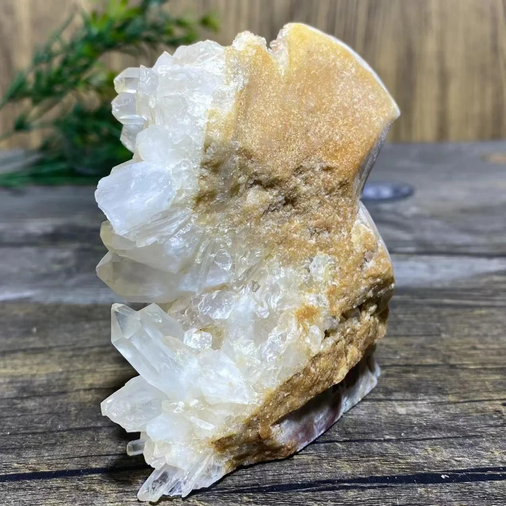 Clear Quartz Cluster Skull-ToShay.org