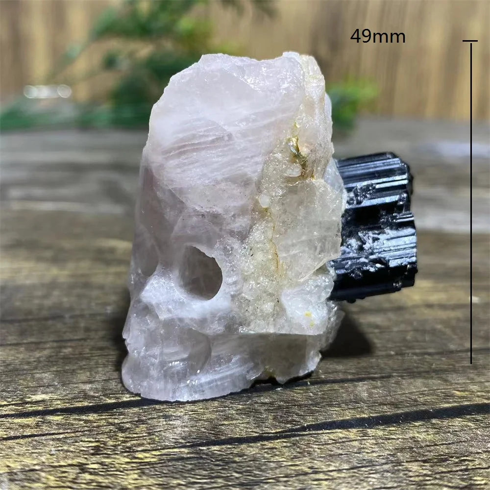 Black Tourmaline Geode Skull-ToShay.org