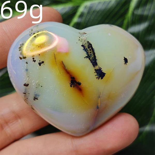 Yellow Tree Agate Heart-ToShay.org