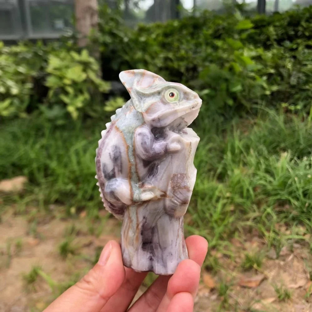 Mixed Jade Lizard-ToShay.org