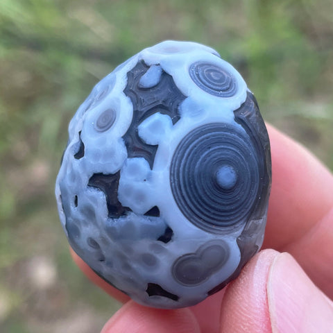 Black Agate Alxa Gobi Eye-ToShay.org