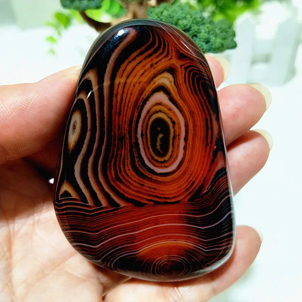 Red Lace Sardonyx Agate-ToShay.org