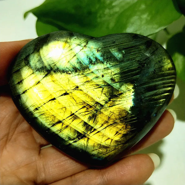 Blue Labrador Stone Heart-ToShay.org