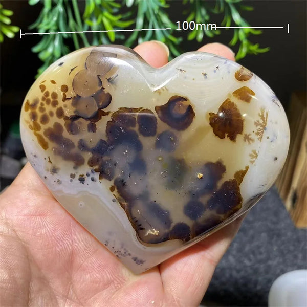 White Ink Moss Tree Agate-ToShay.org