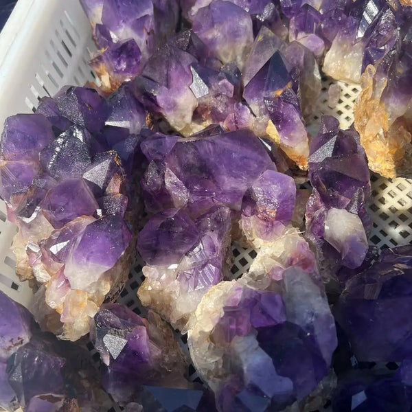 Purple Amethyst Cluster-ToShay.org