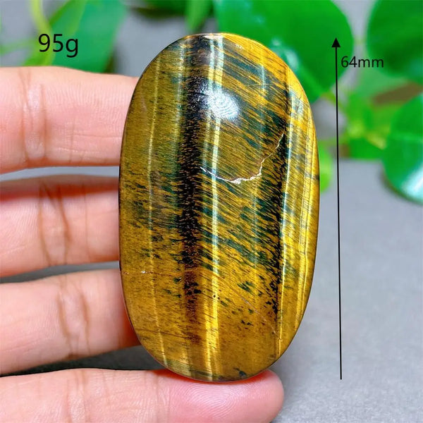 Blue Yellow Tiger Eye-ToShay.org