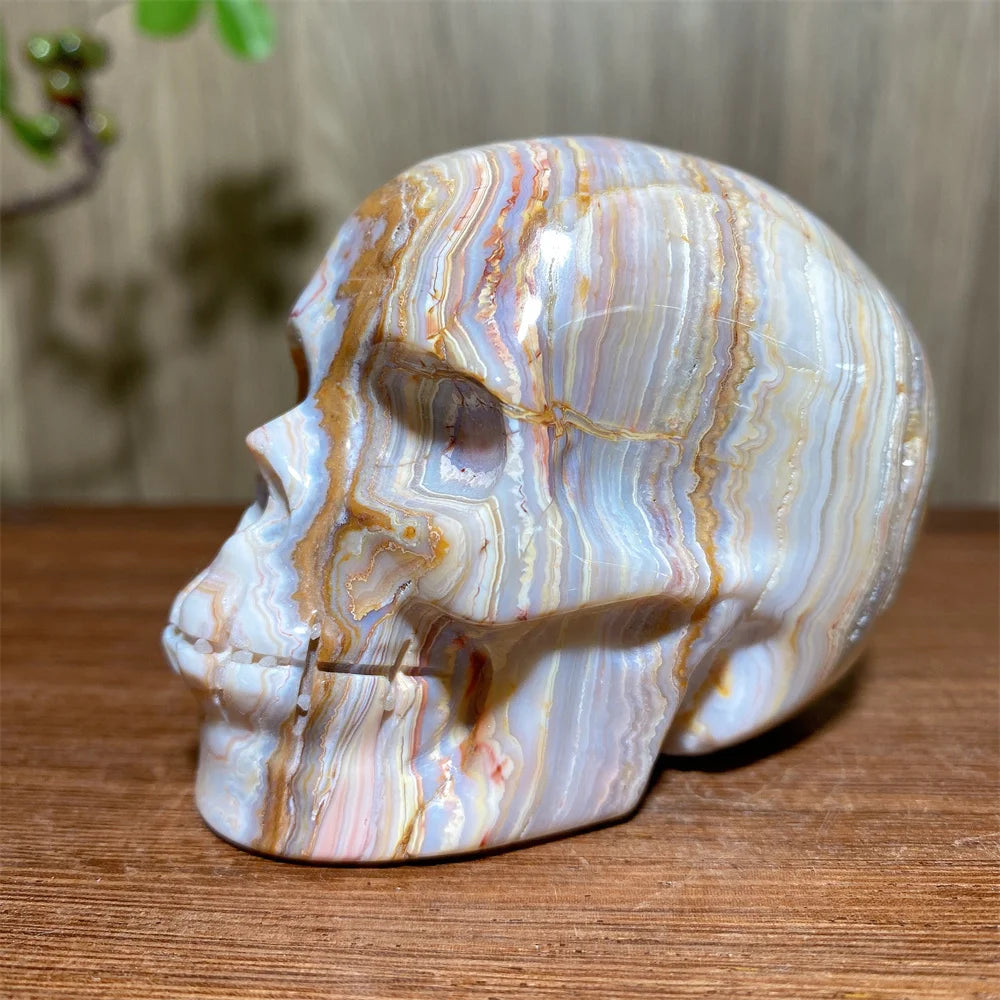 Yellow Crazy Lace Agate Skull-ToShay.org