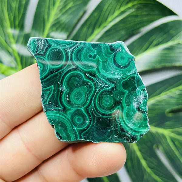Green Eyes Malachite-ToShay.org