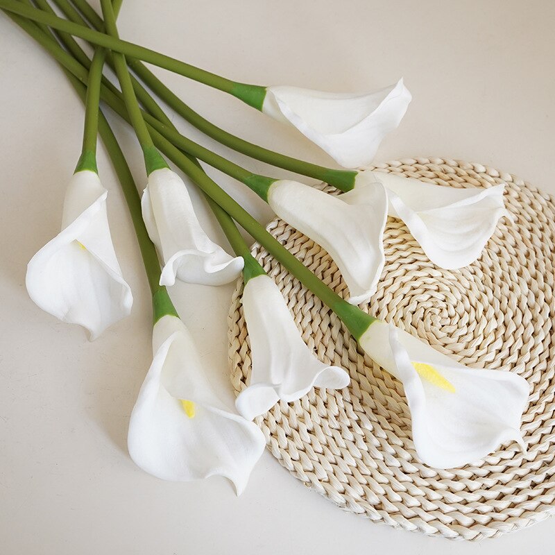 Calla Lily Stem Flower-ToShay.org