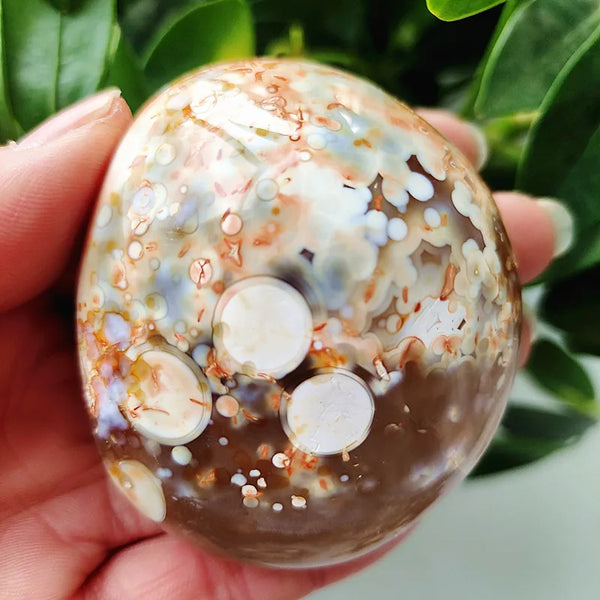 Mixed Lace Sardonyx Agate-ToShay.org