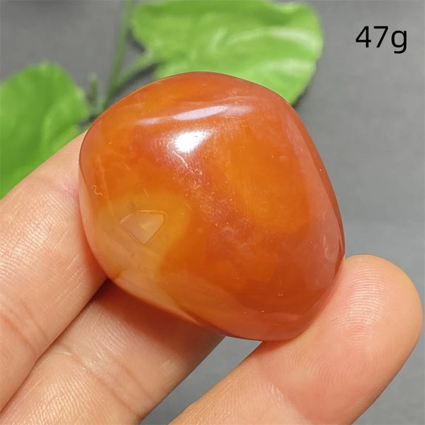 Orange Silk Lace Agate-ToShay.org