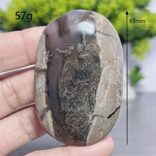 Fire Agate Palm Stone-ToShay.org