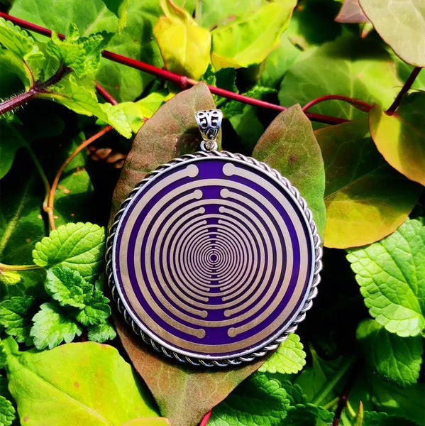 Circuit Board Polarizing Disk-ToShay.org