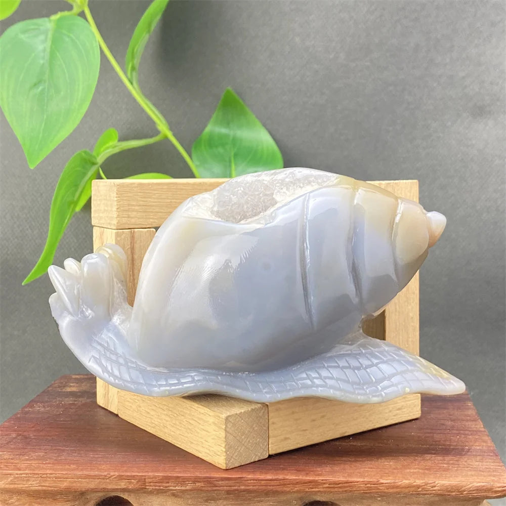 Grey Agate Geode Snail-ToShay.org