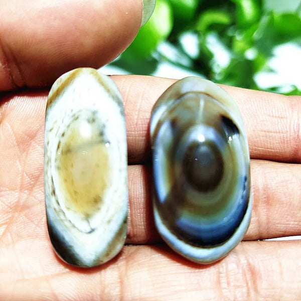 Mixed Eye Agate-ToShay.org