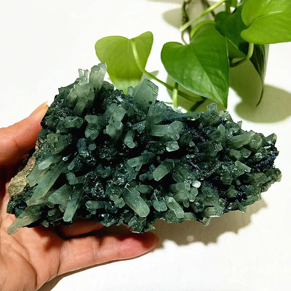Green Epidote Crystal Cluster-ToShay.org
