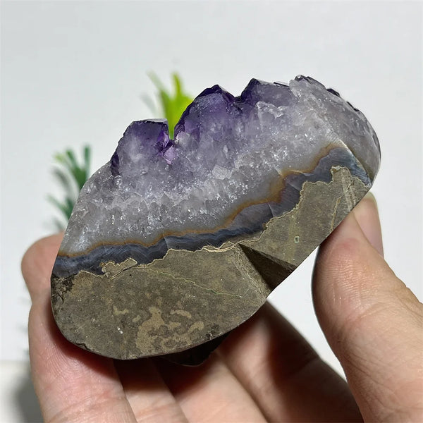 Purple Amethyst Skull Cluster-ToShay.org