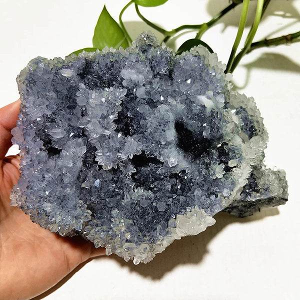 Purple Chrysanthemum Fluorite Crystal-ToShay.org