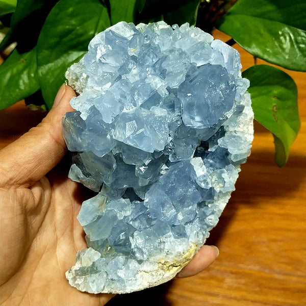 Blue Celestine Geode Crystal-ToShay.org