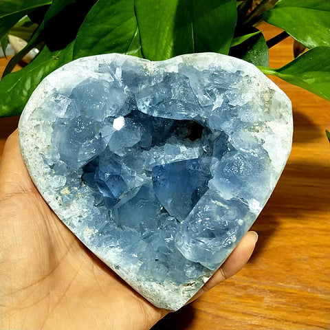 Blue Celestine Geode Crystal-ToShay.org