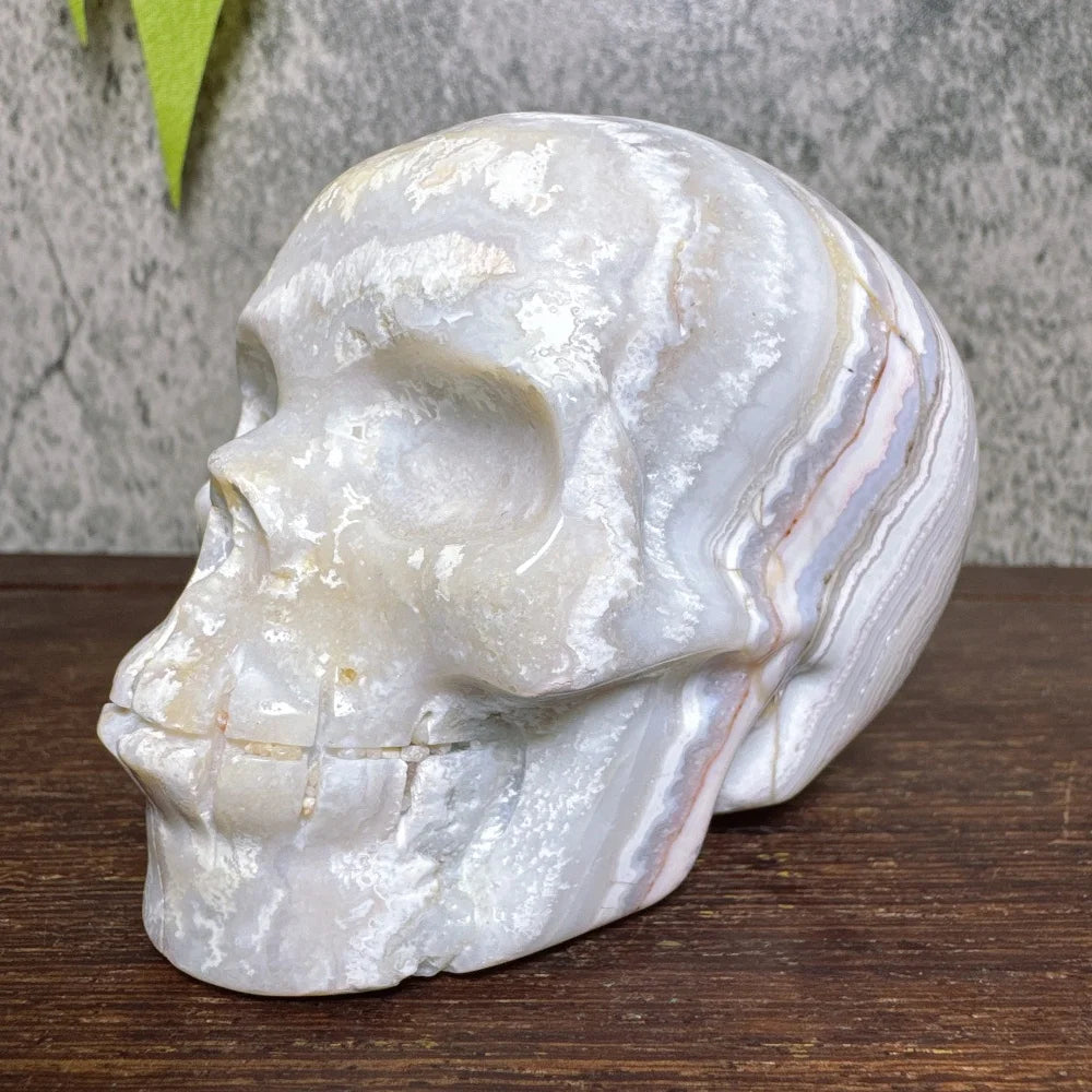 Grey Crazy Lace Agate Skull-ToShay.org