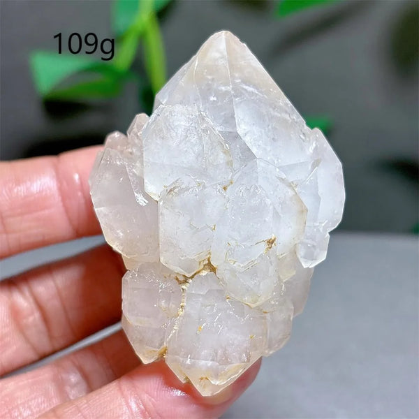 Clear Lotus Backbone Quartz Cluster-ToShay.org