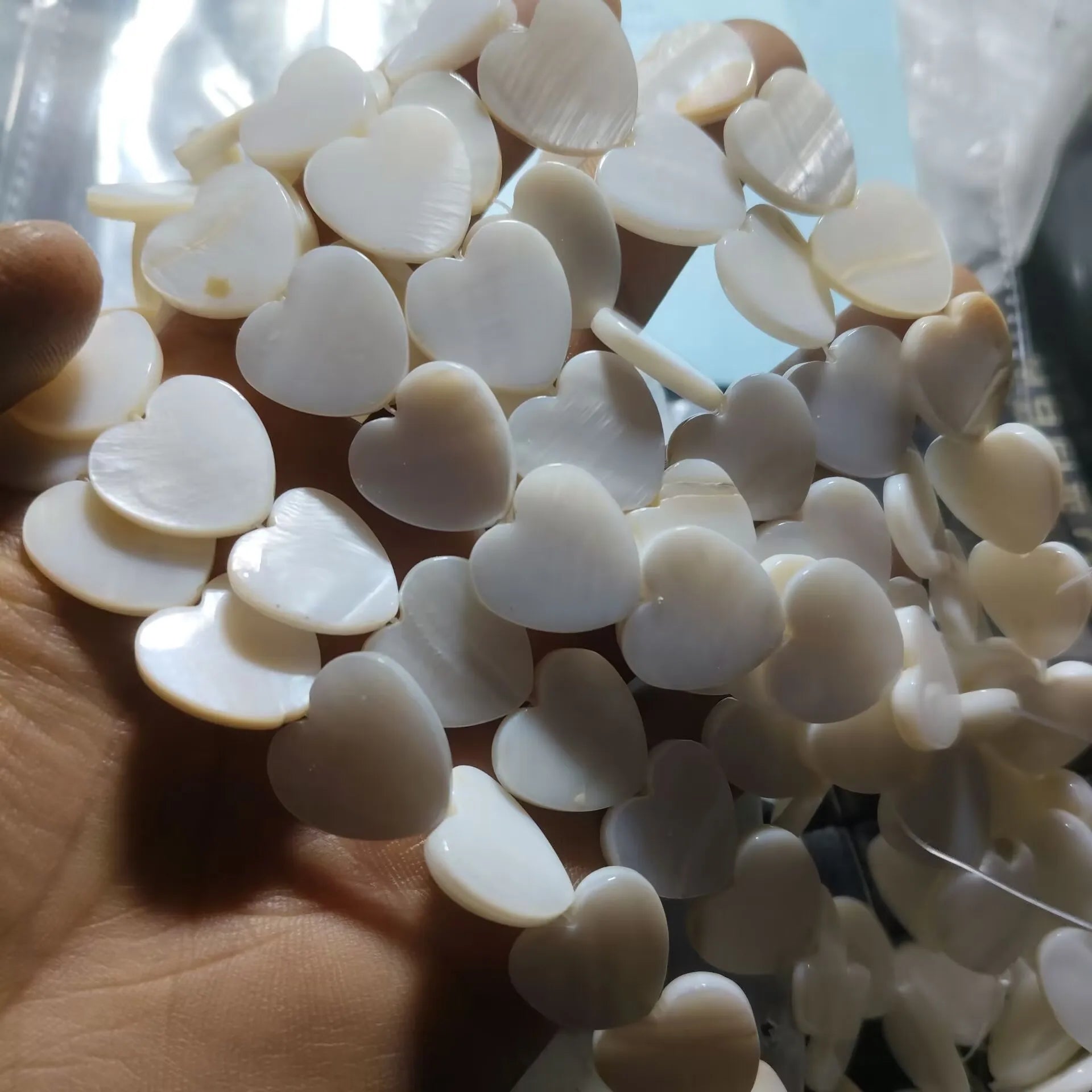 White Shell Beads-ToShay.org