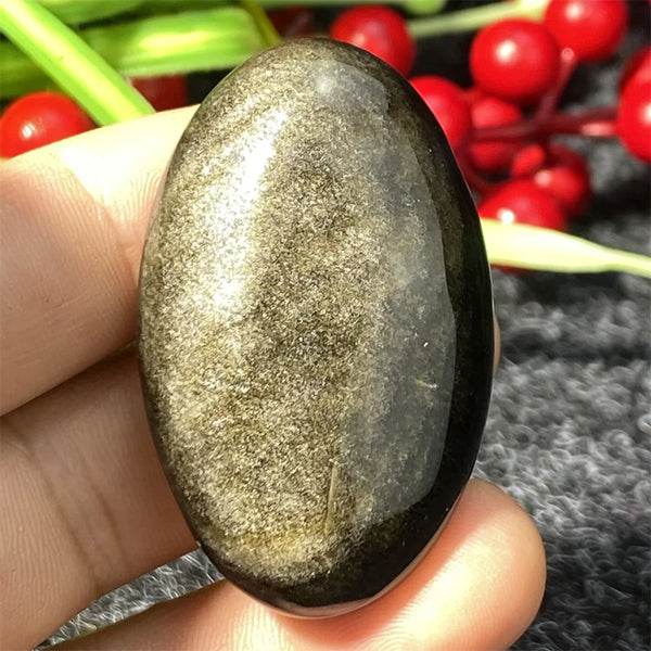 Silver Black Obsidian-ToShay.org