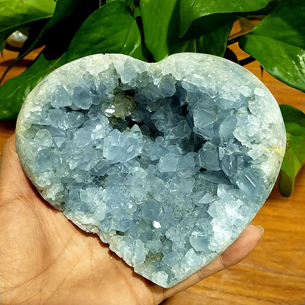 Blue Celestine Geode Crystal-ToShay.org