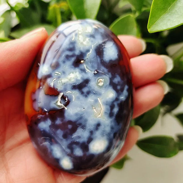 Mixed Lace Sardonyx Agate-ToShay.org