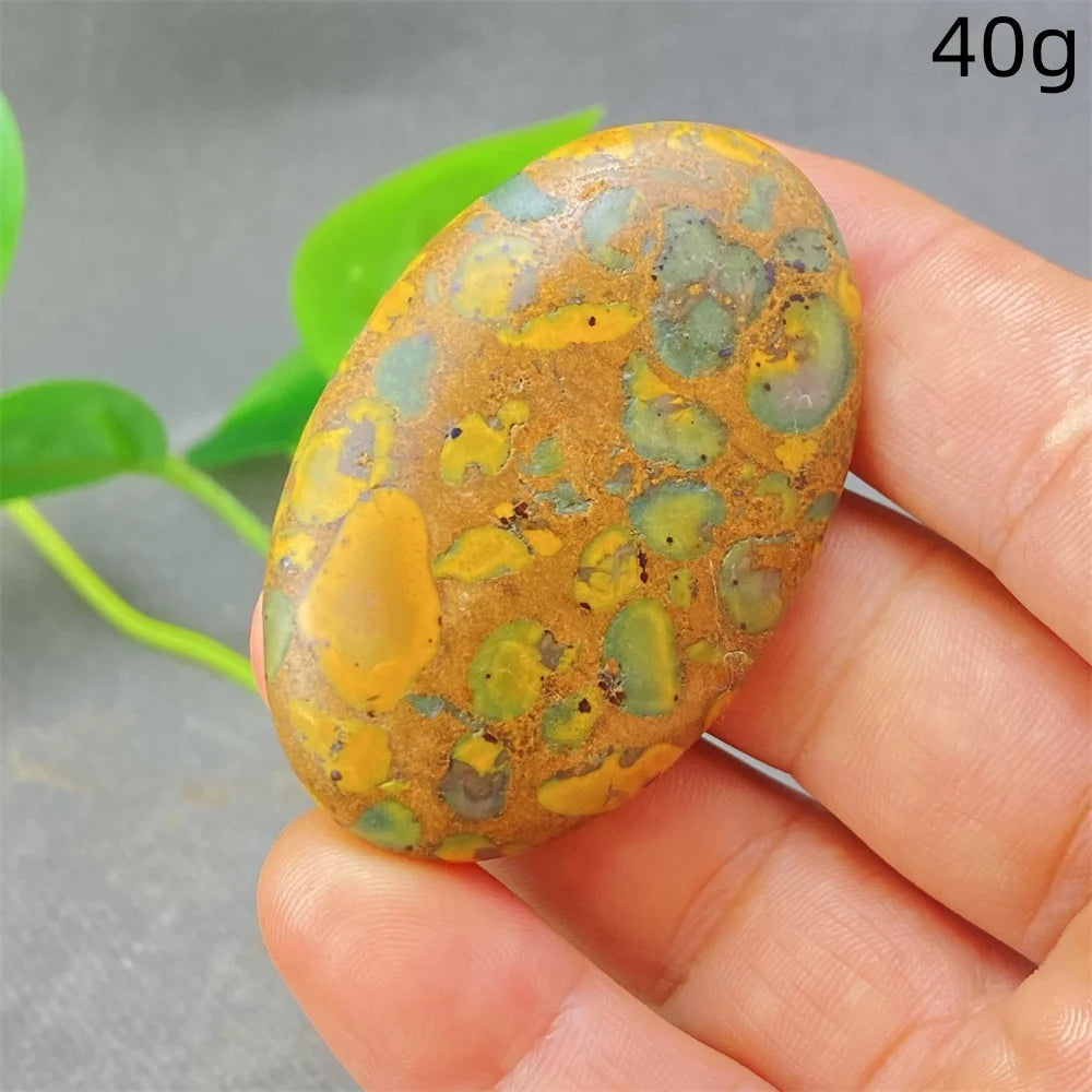 Green Rainforest Palm Stone-ToShay.org