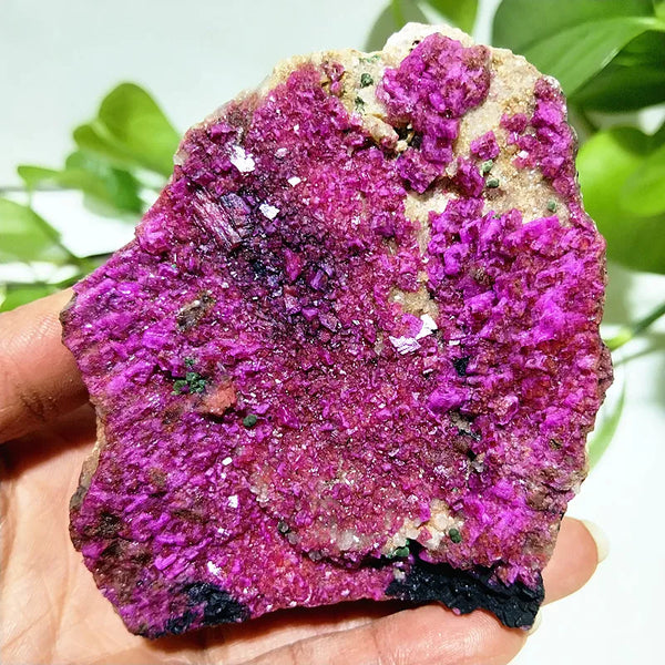 Pink Cobalt Calcite Crystal-ToShay.org
