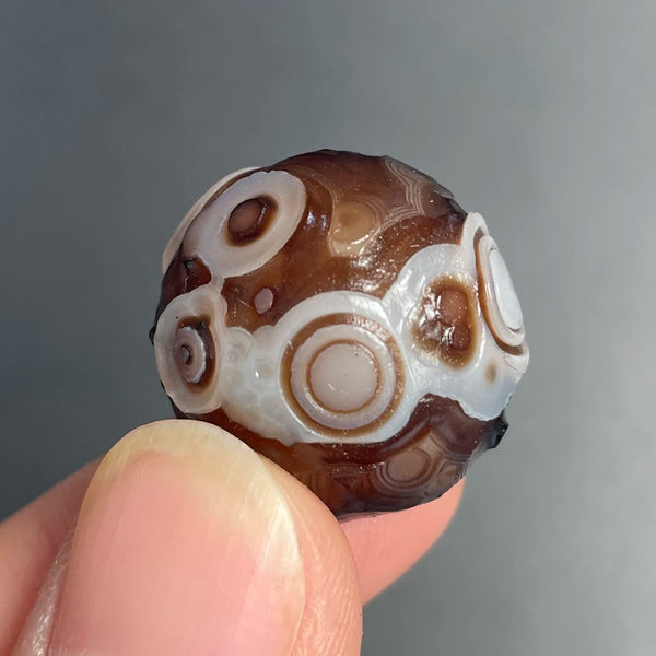 Mixed Gobi Agate Eye Rock-ToShay.org