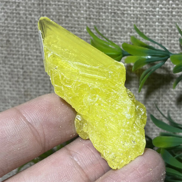 Yellow Sulphur Quartz-ToShay.org