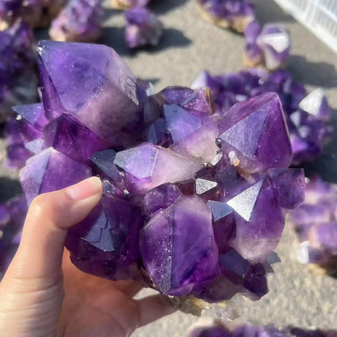 Putple Amethyst Cluster-ToShay.org