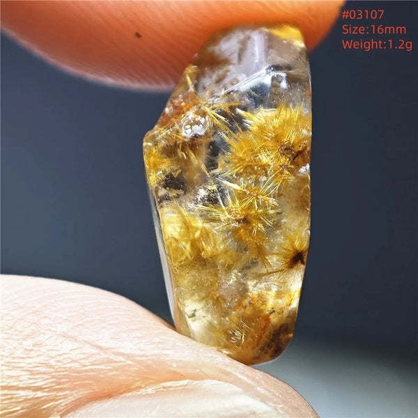 Gold Rutilated Quartz-ToShay.org
