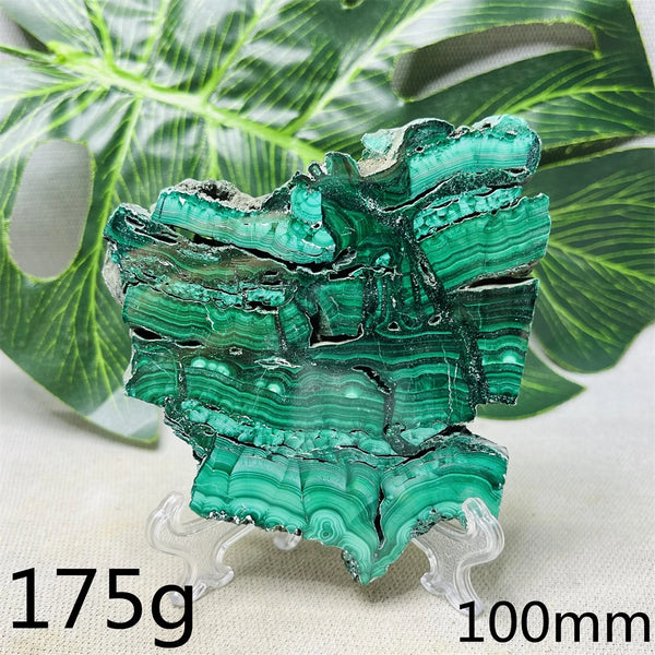 Green Malachite Slice-ToShay.org