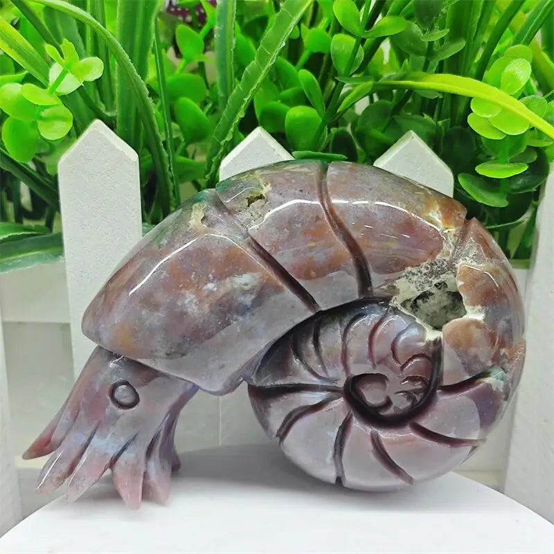 Natural Ocean Jasper Snail Conch Carving Figurine Polished Fengshui Gemstones Sculpture Crafts Gift 1PCS-ToShay.org
