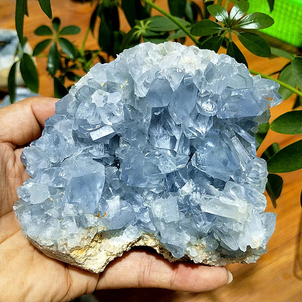 Blue Celestite Geode Crystal-ToShay.org