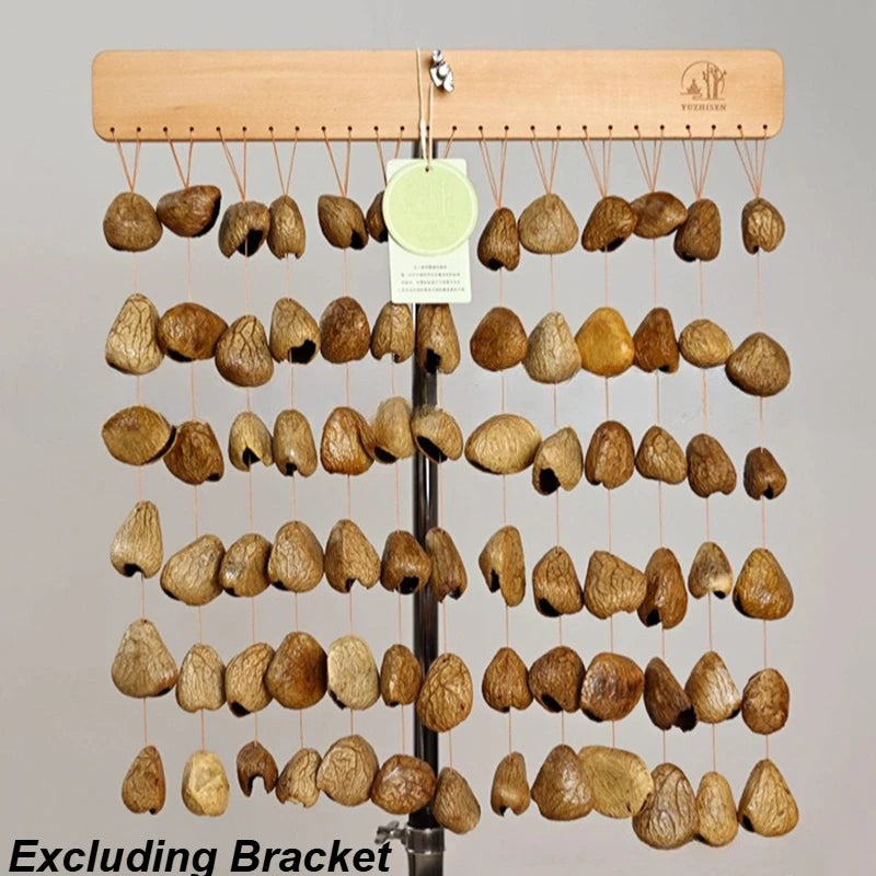 Shell Nut Wind Chimes-ToShay.org