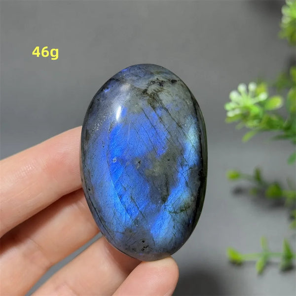 Blue Labrador Palm Stone-ToShay.org