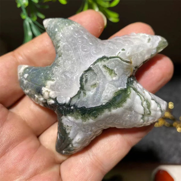 Green Moss Agate Starfish-ToShay.org