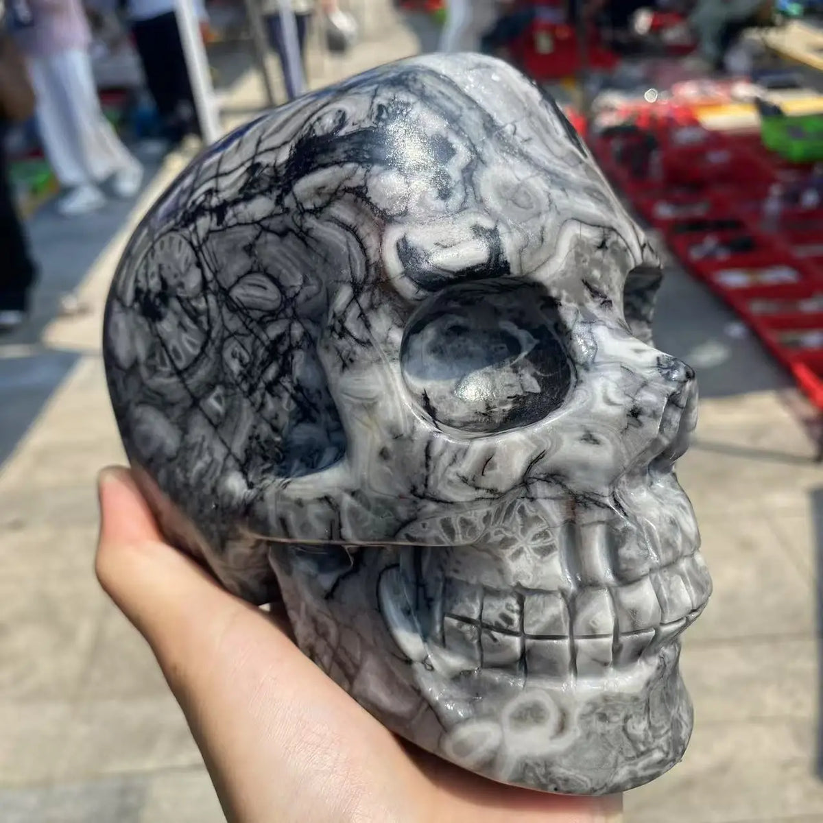 Grey Spiral Stone Skull-ToShay.org