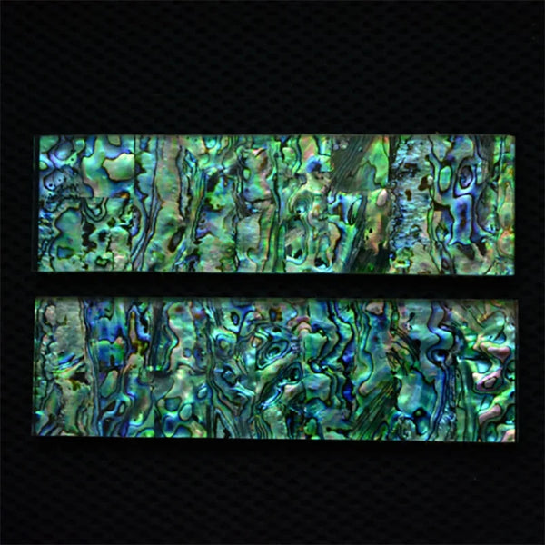 Blue Abalone Shell-ToShay.org