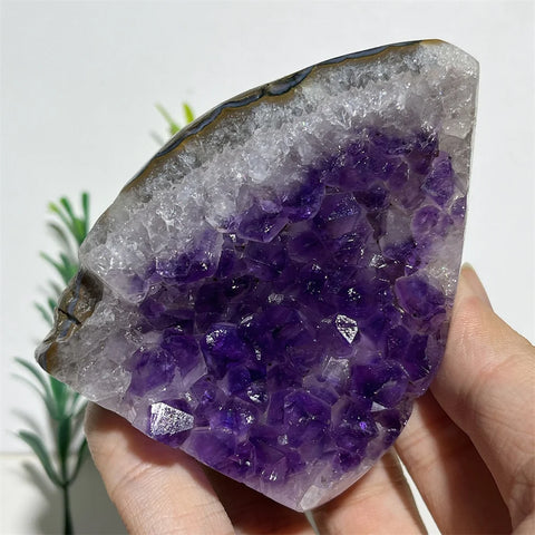 Purple Amethyst Skull Cluster-ToShay.org